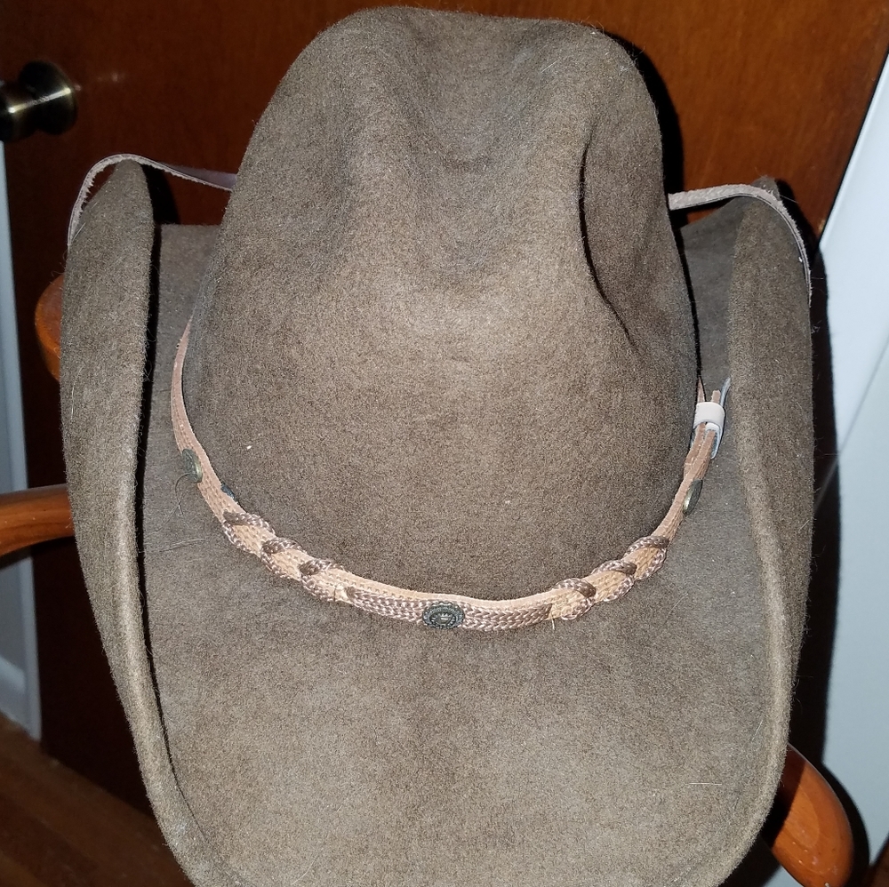 Bullhide Brand Western Hat